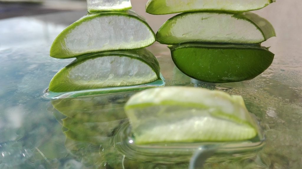 aloe, aloe vera, aloe vera leaf, cut aloe leaf, aloe vera, aloe vera, aloe vera, aloe vera, aloe vera